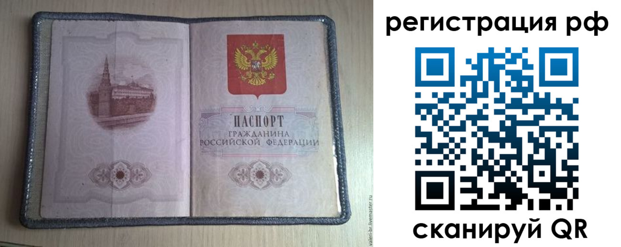 прописка поиск в Фрязино